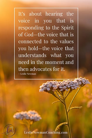 Speak Up With Confidence: Finding Your Authentic Voice. Sunset in a field with white flowers and a quote.