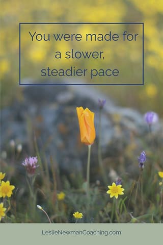 Yellow flower bud representing a slower, steadier pace of life.